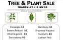 plant sale